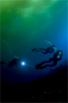 Divers